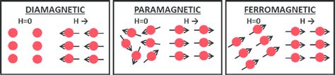 Que magnetismo é esse? - Deviante