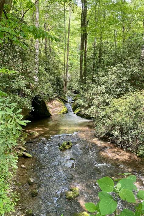 Deep Creek Hiking Trails (Great Smoky Mountains) - Champagne Tastes®