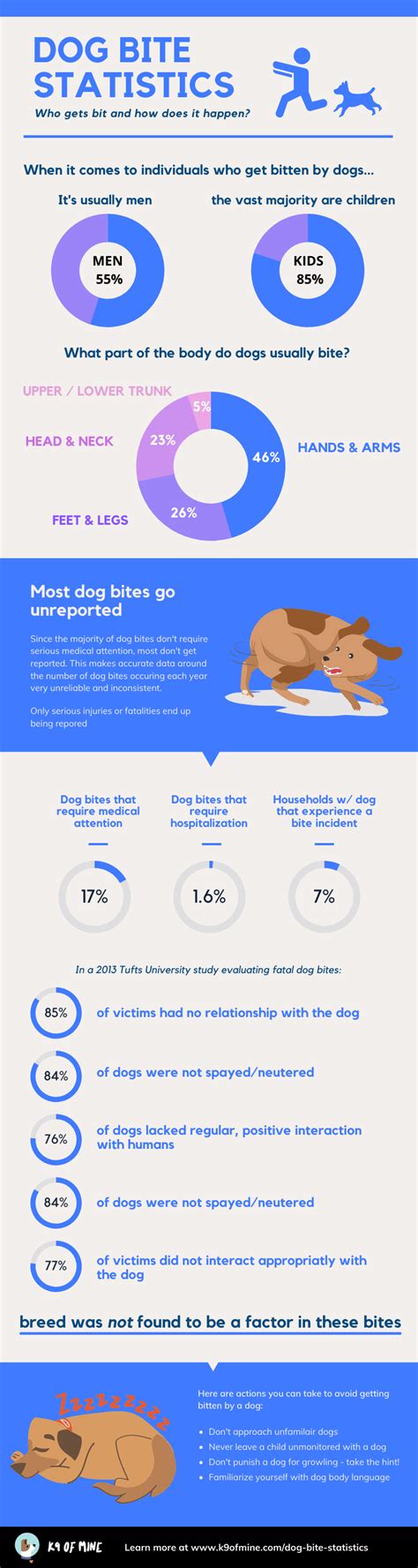 10 Dog Bite Statistics You NEED To Know!