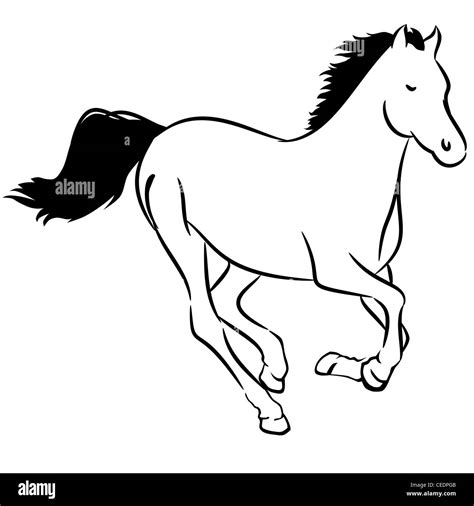 Running horse, line drawing Stock Photo - Alamy