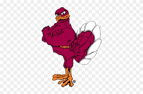 Virginia Tech Hokies - Hokie Bird - Free Transparent PNG Clipart Images ...