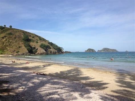 MATAURI BAY HOLIDAY PARK - Campground Reviews (Kerikeri, New Zealand)