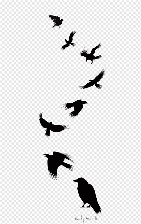 Eight black birds, Common raven Bird Tattoo Drawing Flight, Ink Crow ...