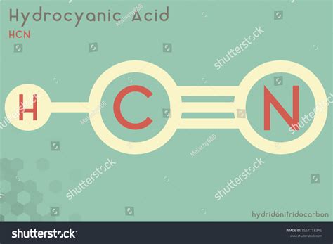 Large Detailed Infographic Molecule Hydrocyanic Acid Stock Vector (Royalty Free) 1557718346 ...