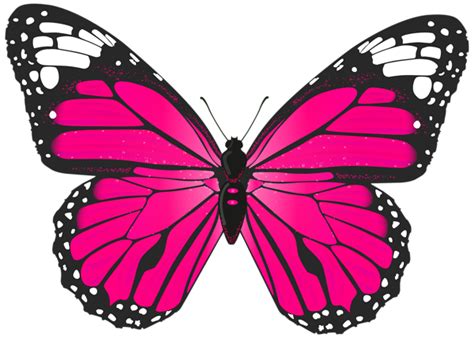 Pink Butterfly PNG Transparent Clip Art Image | Butterfly clip art, Butterfly painting ...