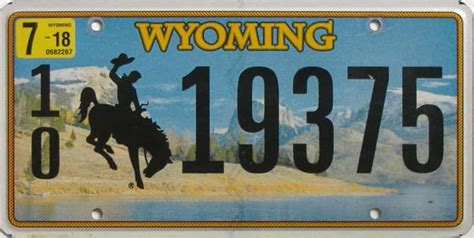 2018 Wyoming (Single) (#9922) for sale - The Tag Dr. Store