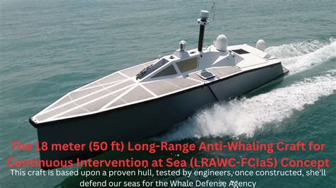 Our Approach Vs Traditional Anti-Whaling Methods | The Whale Defense Agency