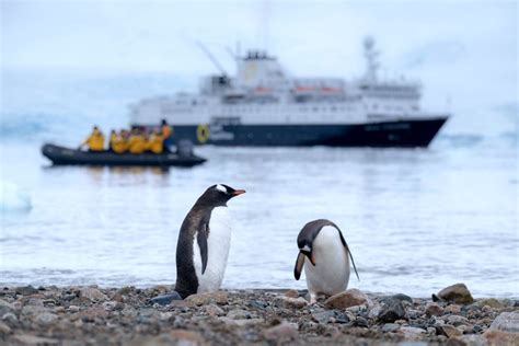 Tourism in Antarctica - AntarcticGlaciers.org