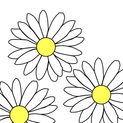 3 Daisies PNG, SVG Clip art for Web - Download Clip Art, PNG Icon Arts