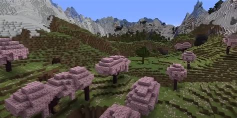 10 Best Minecraft Seeds For Cherry Blossom