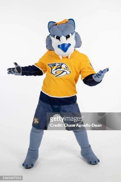 Nashville Predators Mascot Photos and Premium High Res Pictures - Getty Images