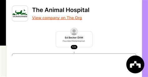 The Animal Hospital - Org Chart, Teams, Culture & Jobs | The Org