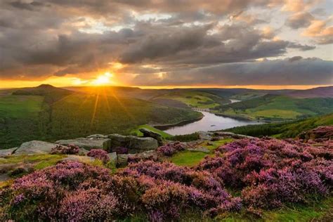 Peak District Wildlife Visitor's Guide - Nature Roamer