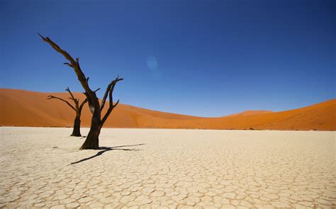 Namib Coastal Desert 4K Wallpapers | HD Wallpapers | ID #19735