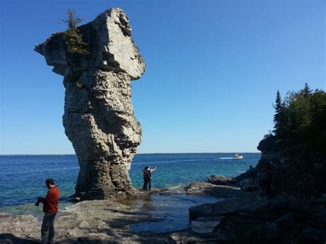 Flowerpot Island Ferry Schedule | Best Flower Site