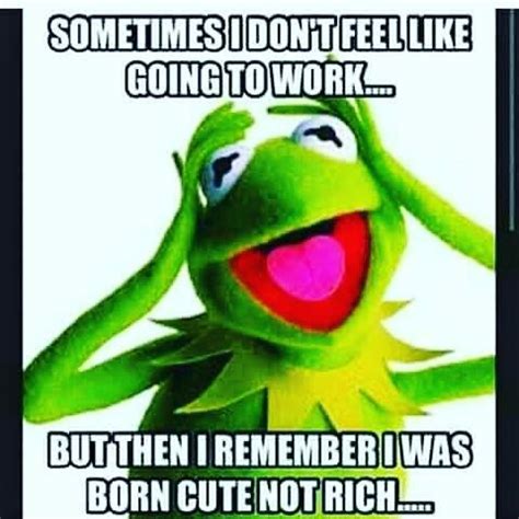 Funny Kermit Quotes - ShortQuotes.cc