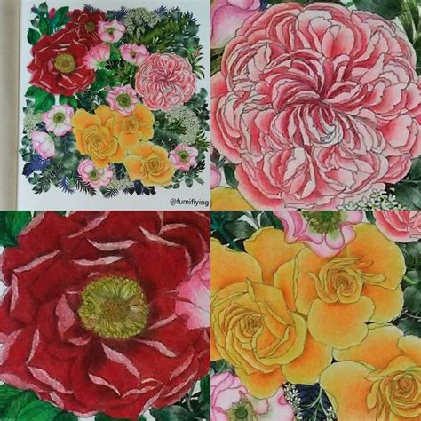 four different types of flowers are shown in this drawing class photo provided by the artist
