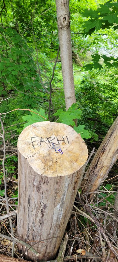 This is starting to get out of hand! : r/londonontario