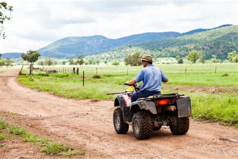 Image of Farmer riding quad bike down farm driveway over cattle grid ...