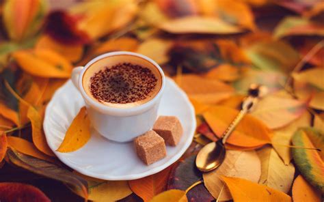 Autumn Coffee Wallpapers - Top Free Autumn Coffee Backgrounds - WallpaperAccess