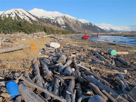 Tsunami Debris On Alaska's Shores Like 'Standing In Landfill' | NCPR News