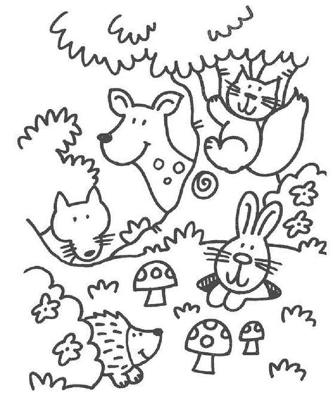 Coloring Pages Of Animals In The Forest