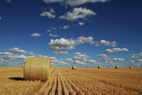 Hay Bales In Field by Photography By Harry Traeger