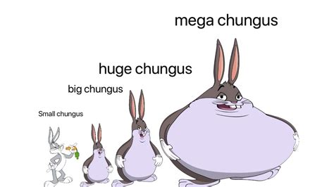 Big Chungus Is Among Us: The Large Rabbit Explained | Know Your Meme