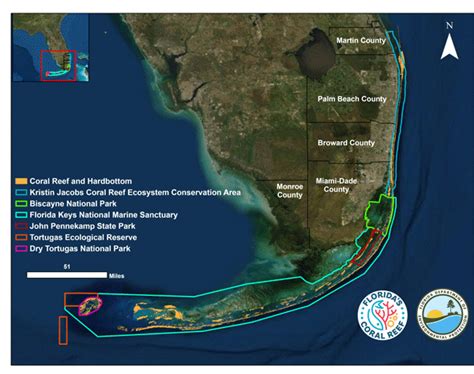 Coral ECA: Kristin Jacobs Coral Reef Ecosystem Conservation Area ...