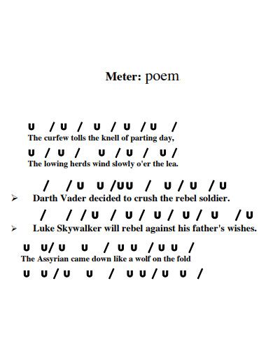 30+ Meter Poem Examples in PDF | Examples