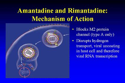 Preventing Influenza: New Opportunities for an Old Disease