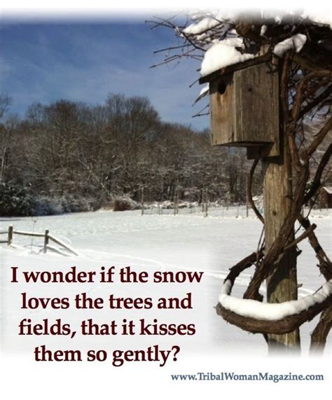 Quotes About Snow Storms. QuotesGram