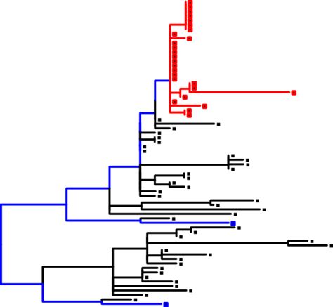 PhyloBotanist: How to sample when testing the monophyly of a group