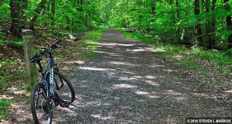 Prince William Forest Park | BIKING