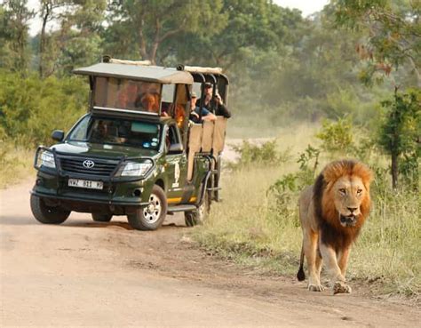 Kruger National Park: Full-Day Private Safari With Pickup | GetYourGuide