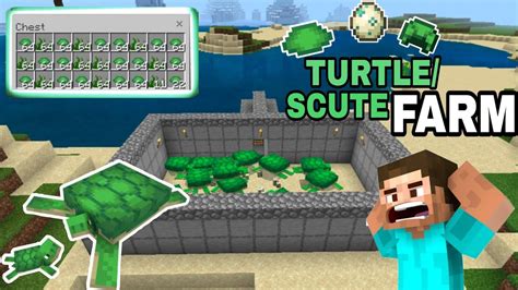 Easy Turtle Scute And Sea Grass Farm | turtle scute farm minecraft bedrock|minecraft scute farm ...