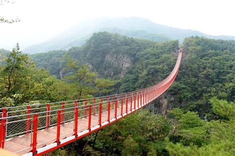 DMZ Day Tour: 3rd Invasion Tunnel & Gamaksan Suspension Bridge | South Korea - KKday