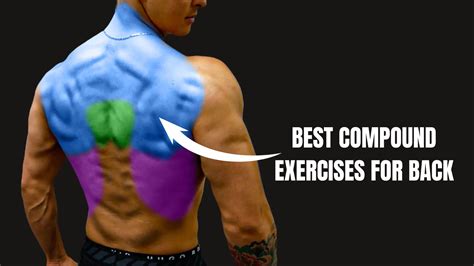 Back Compound Exercises | Built With Science