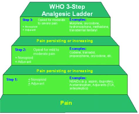 World Health Organization 3-Step Analgesic Ladder with examples of ...