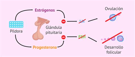 Ausencia de menstruación o amenorrea: causas y tratamiento