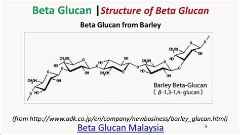 Beta Glucan | Beta Glucan Structure Overview By Beta Glucan Malaysia - YouTube