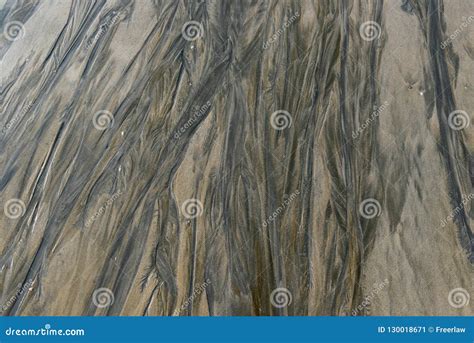 Ripple marks on sand beach stock image. Image of sand - 130018671