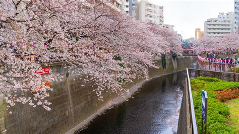 Meguro River, JP holiday accommodation from AU$ 59/night | Stayz