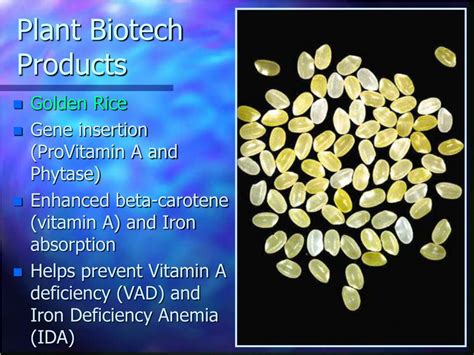 PPT - Challenges and Opportunities in Plant Biotechnology PowerPoint Presentation - ID:5752990