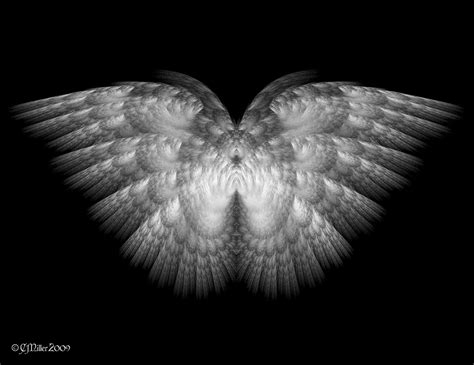 Angel wings - Angels Fan Art (35926640) - Fanpop