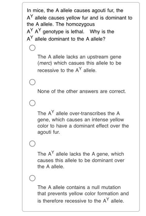 Solved In mice, the A allele causes agouti fur, the AY | Chegg.com