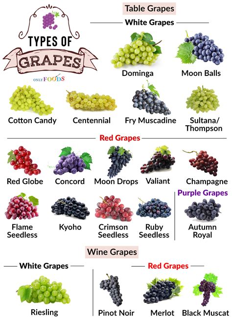 G is for GRAPES! – Doctor Tanaka
