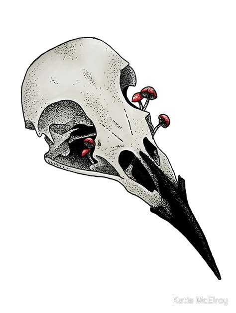 Raven Skull Drawing | Free download on ClipArtMag