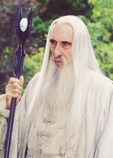 Saruman | Wiki | LOTR Amino