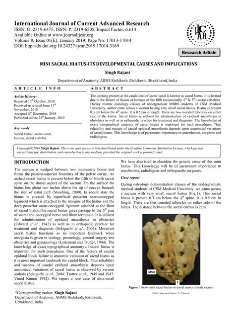 (PDF) MINI SACRAL HIATUS